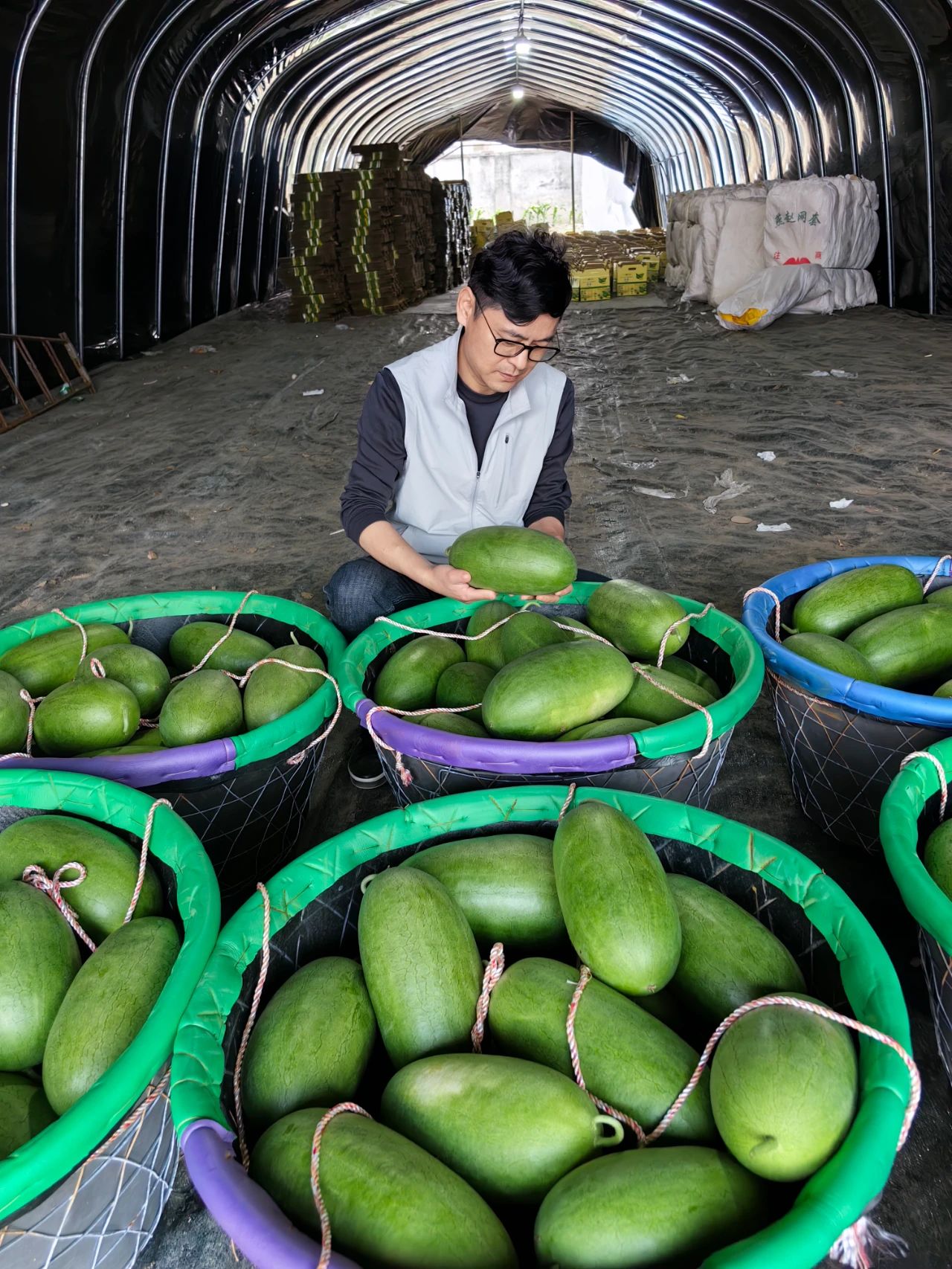 新农领头人陈志峰:“三林崩瓜”入选中国优质农产品榜单,成为浦东新区农业的一张金色名片(图1) 微信图片_20250522103421.jpg